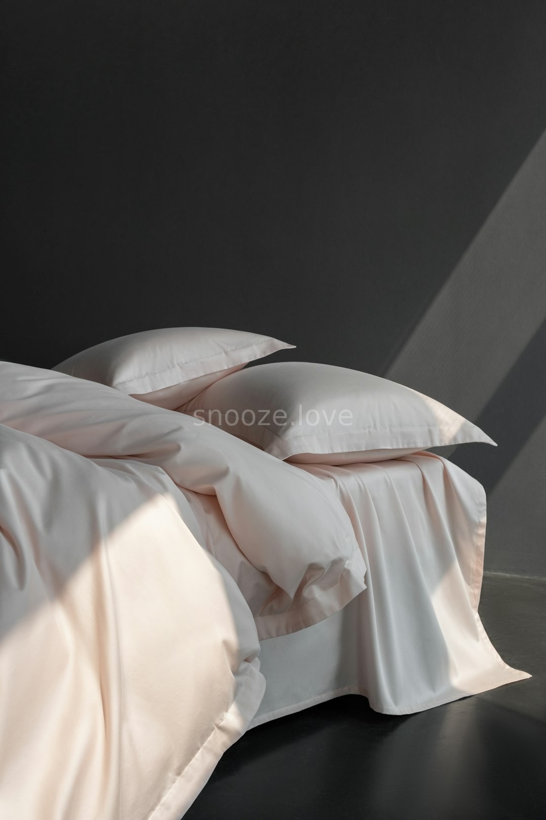 Silk Pillows